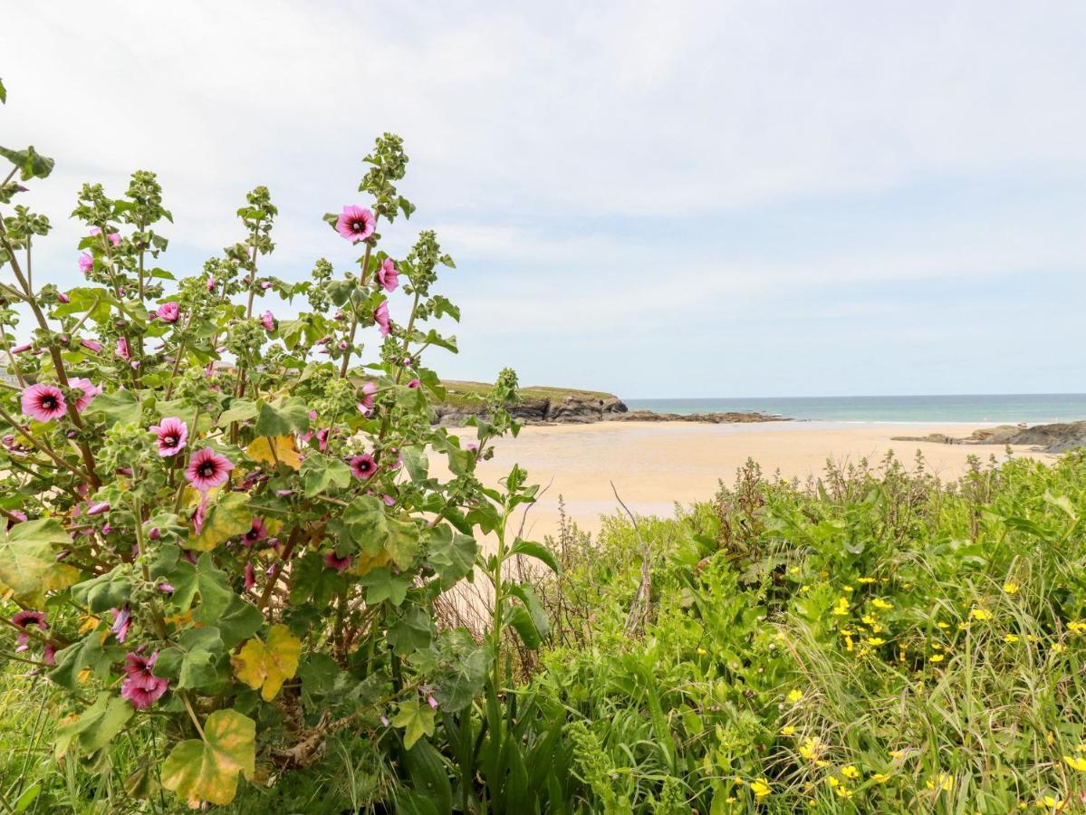 Constantine Bay Cottage パドストウ エクステリア 写真